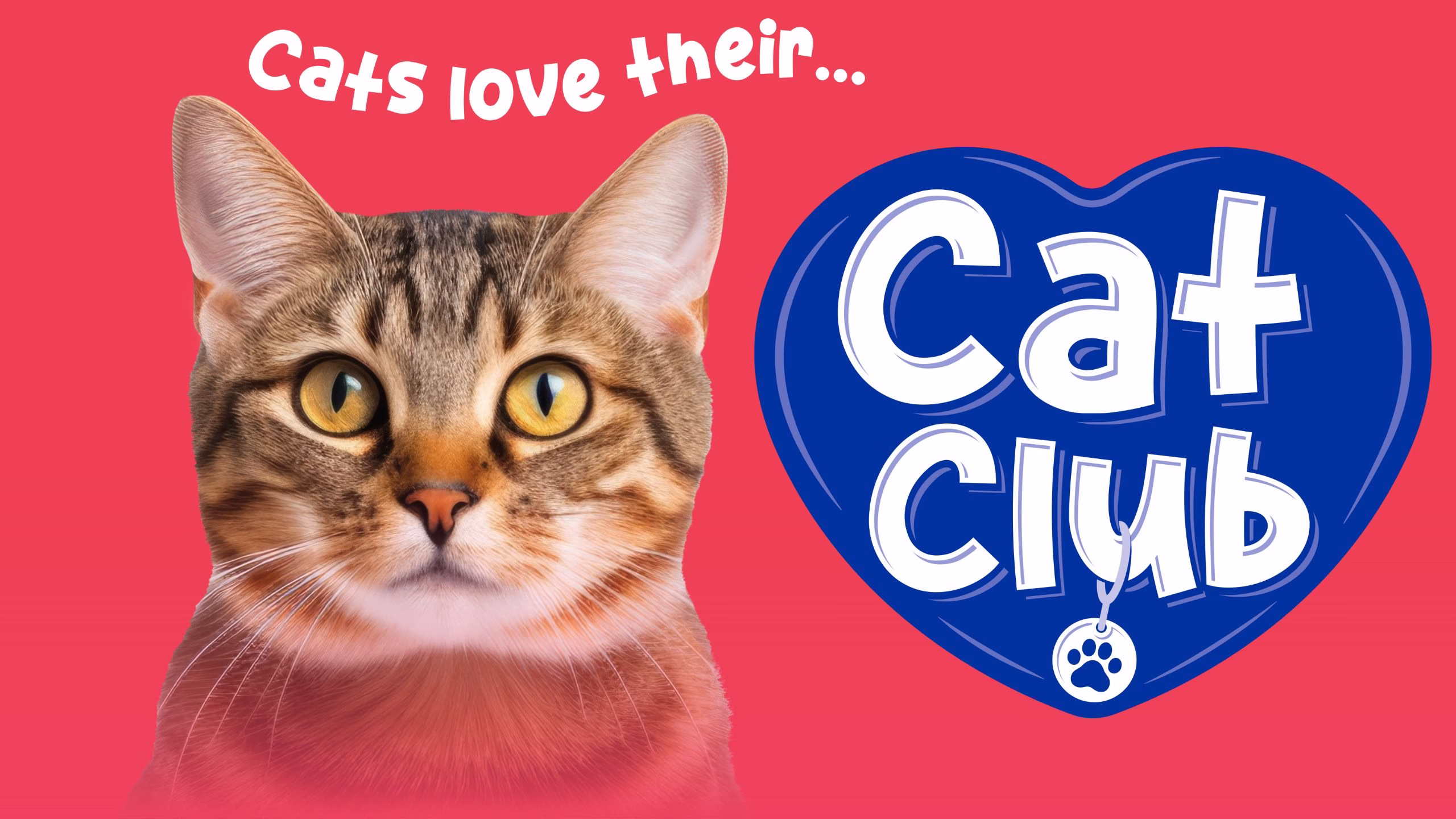 Cat Club wet cat food range manufactured by Mackle Petfoods