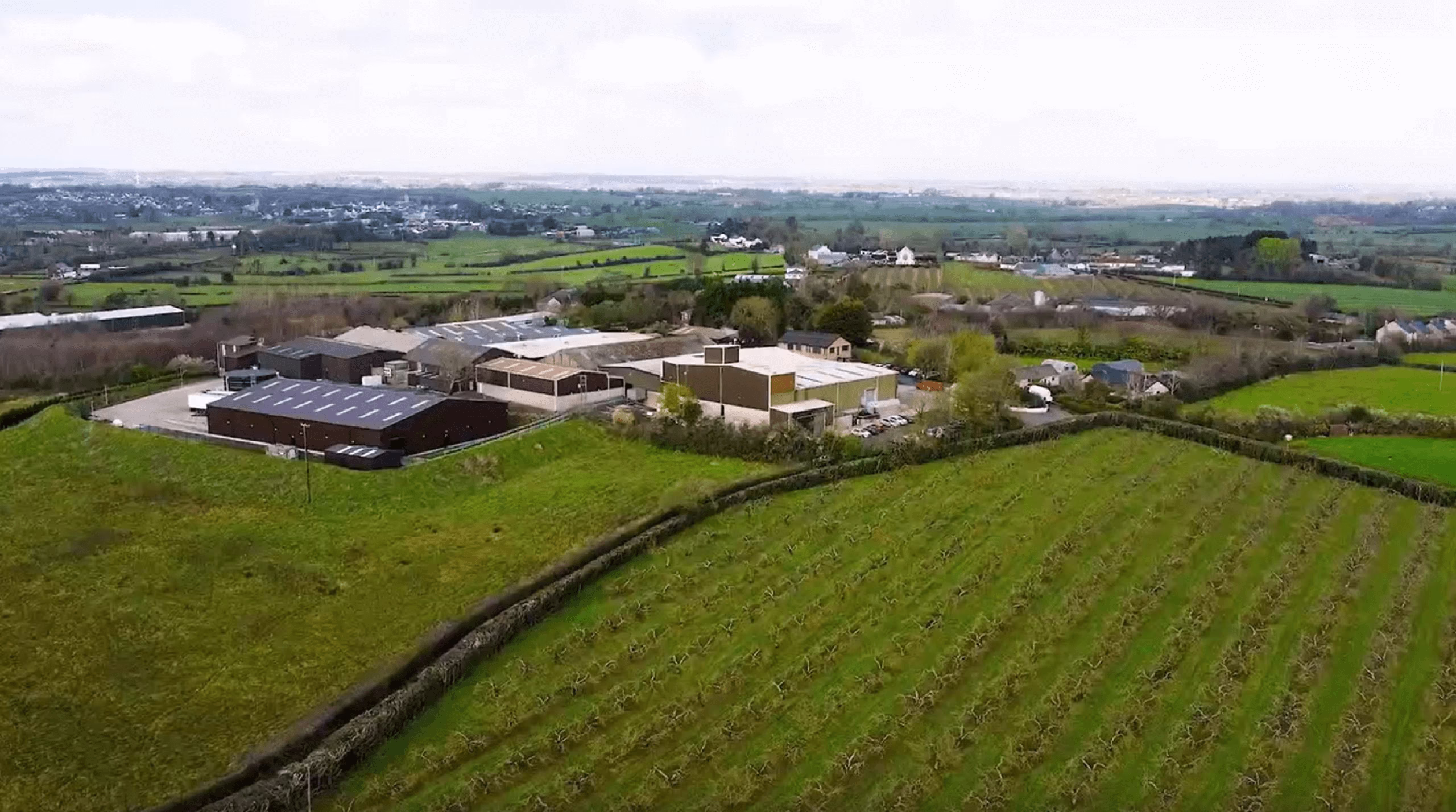 Mackle Petfoods colleagues at the Moy site in Northern Ireland